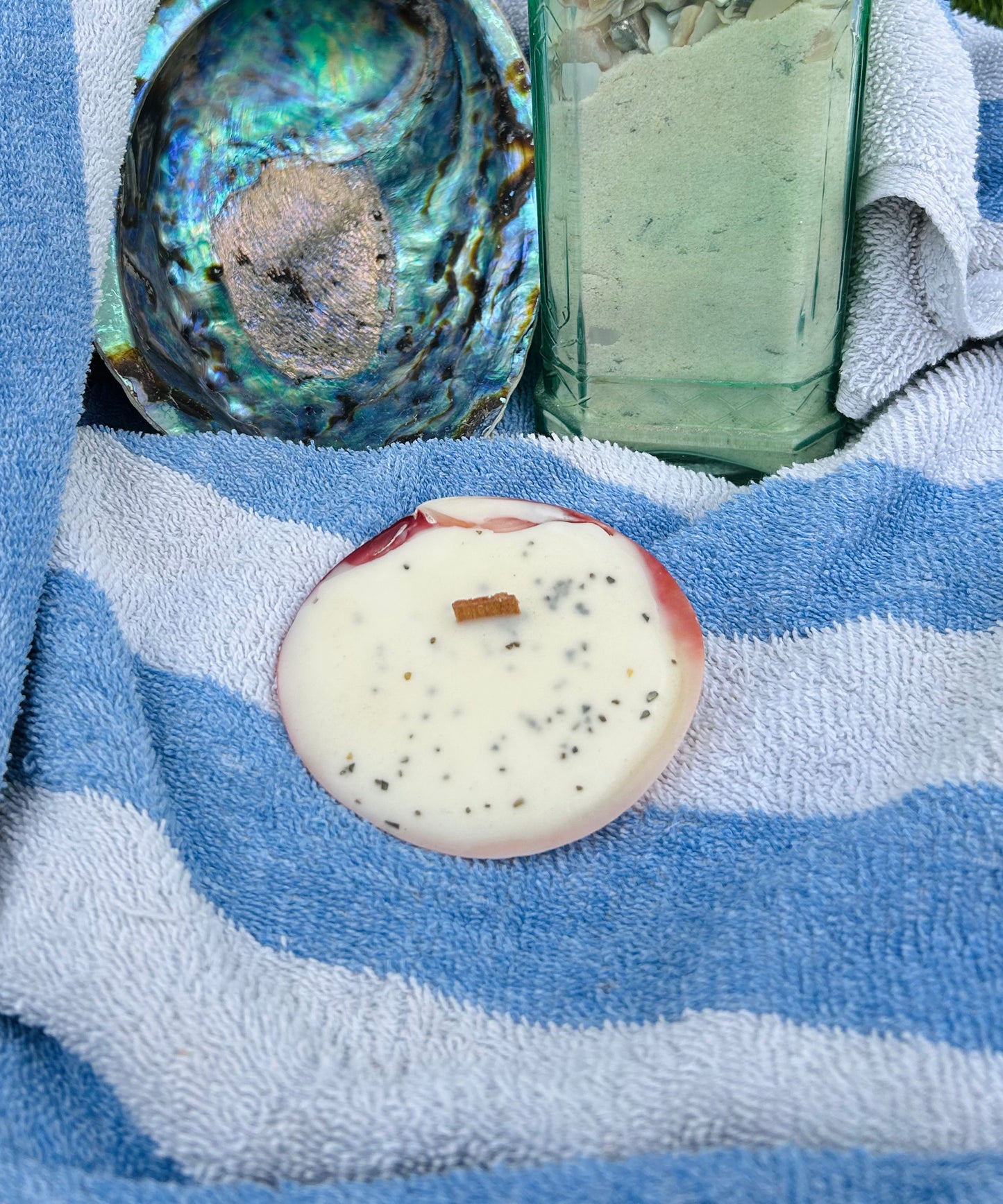 Tropic bliss Small shell