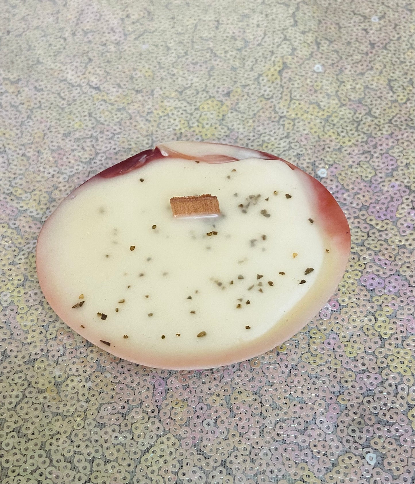 Tropic bliss Small shell