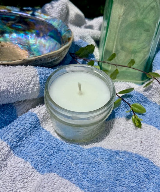 Don't Bug Me | Glass Jar